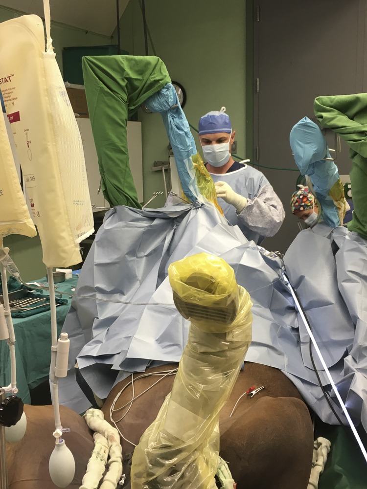 Dr. Ryan Carpenter performing surgery on a horse.