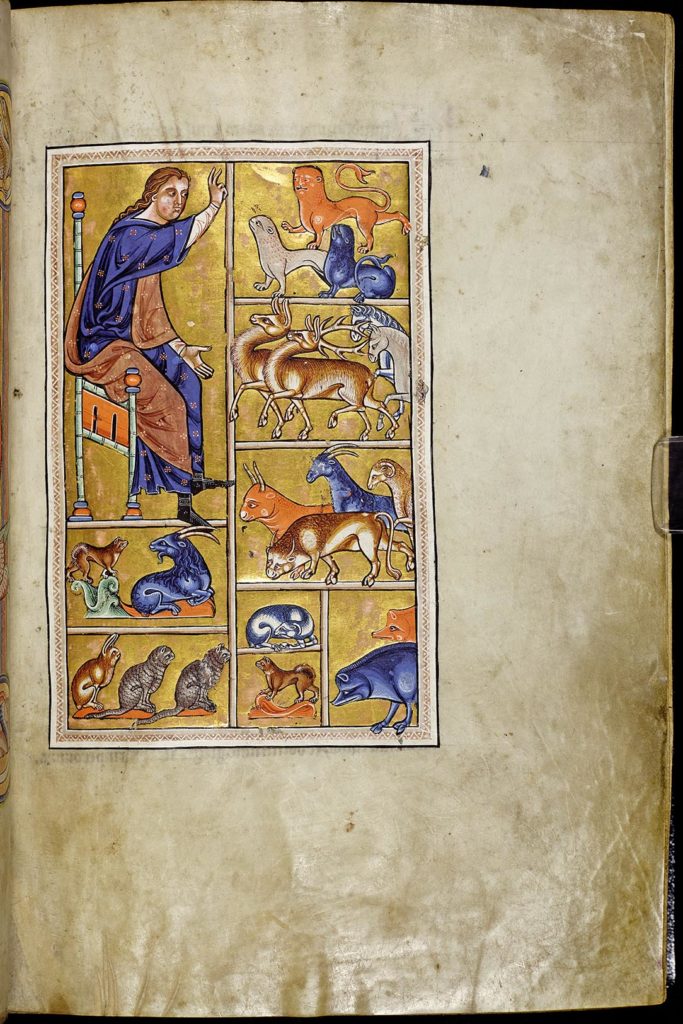 Medieval rendering of Adam naming animals. 