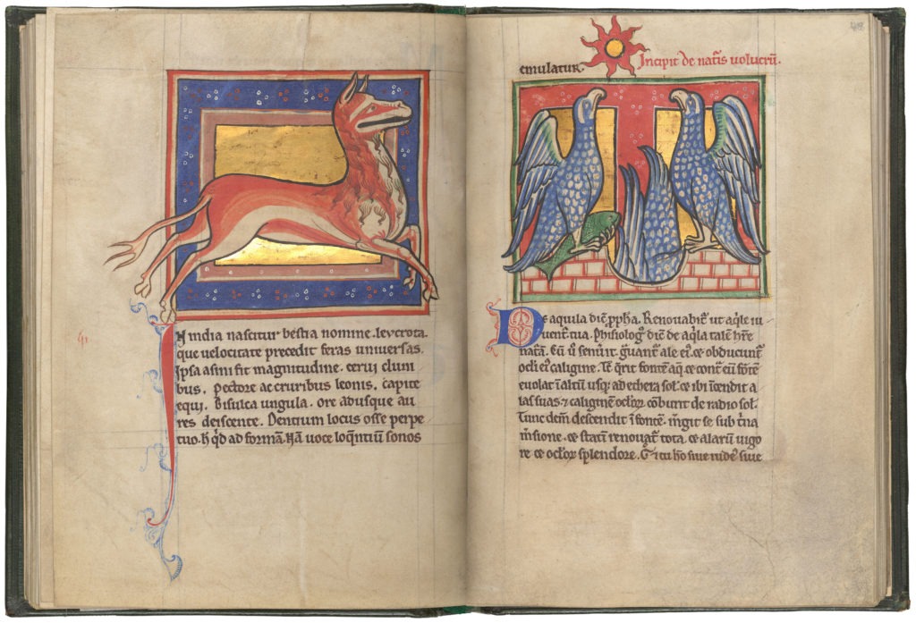 Medieval art scroll with three birds and a fox