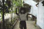 Dancing doors album cover
