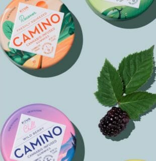 Kiva gummies