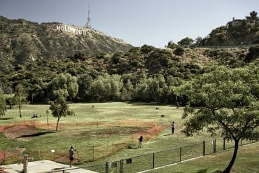 Families gather at Lake Hollywood Park underneath the Hollywood Sign while wearing protective face coverings.
