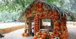 A decorative, life-sized house made of pumpkins.