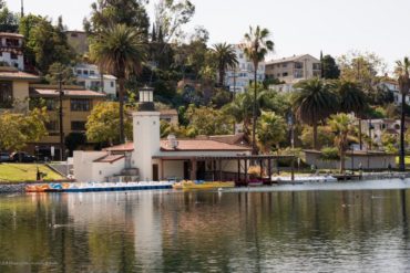 A daytime photo of Echo Park Lake, with hillside neighborhoods in the background.