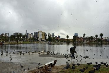 A bicyclist rides through MacArthur Park on a rainy afternoon on Dec. 28, 2020.