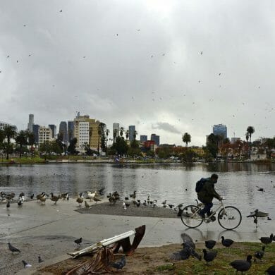 A bicyclist rides through MacArthur Park on a rainy afternoon on Dec. 28, 2020.